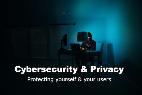 Cyber Security and Privacy: July 6 webinar